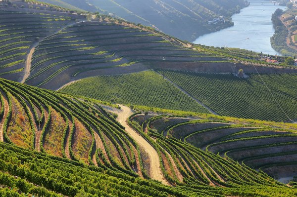 Où trouver les meilleures pistes cyclables pour découvrir les paysages de la vallée du Douro, Portugal?